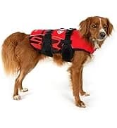 Drive Dog Car Harness — Crash Tested and Certified — collection imagery