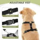 Dog Seat Belt and Harness for Car — 2 in 1 Seatbelt Buckle