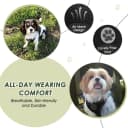 Dog Seat Belt and Harness for Car — 2 in 1 Seatbelt Buckle