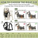 Dog Seat Belt and Harness for Car — 2 in 1 Seatbelt Buckle