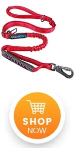 Dog Seat Belt 3-in-1 Car Harness for Dogs Adjustable Safety Seatbelt for Car Nylon Reflective Bungee Fabric Dog — product details