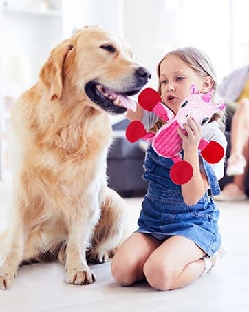 Dog Seat Belt 3-in-1 Car Harness for Dogs Adjustable Safety Seatbelt for Car Nylon Reflective Bungee Fabric Dog — collection imagery