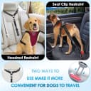 Dog Seat Belt for Car — 2 Pack Dog Car Harness Seatbelt with Bungee