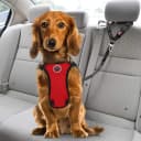 Dog Seat Belt for Car — 2 Pack Dog Car Harness Seatbelt with Bungee