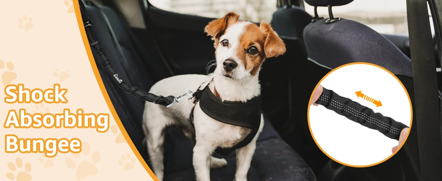 Dog Seat Belt for Car — 2 Pack Dog Car Harness Seatbelt with Bungee — DOG SAFETY — OUR PASSION