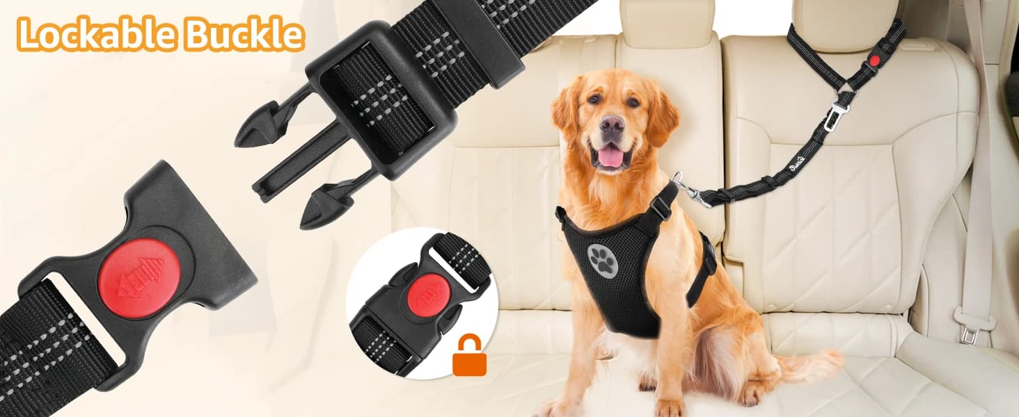 Dog Seat Belt for Car — 2 Pack Dog Car Harness Seatbelt with Bungee — DOG SAFETY — OUR PASSION
