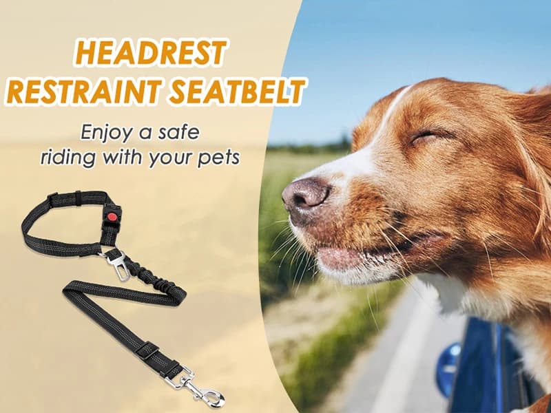 Dog Seat Belt for Car — 2 Pack Dog Car Harness Seatbelt with Bungee — DOG SEATBELT — 2 PACK -- Headrest Restraint + Clip Restraint