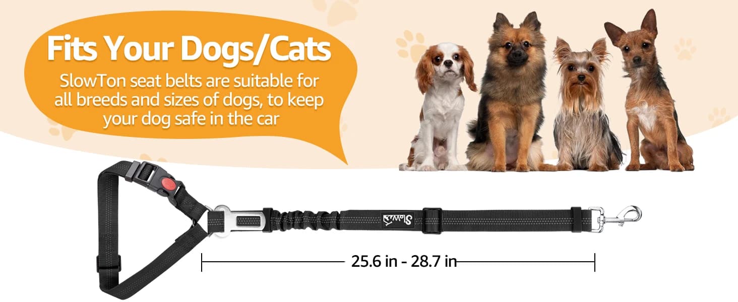 Dog Seat Belt for Car — 2 Pack Dog Car Harness Seatbelt with Bungee — Suited to all breeds of dogs/cats