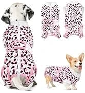 Dog Seat Belt for Car — 2 Pack Dog Car Harness Seatbelt with Bungee — collection imagery
