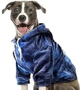 Dog Seat Belt for Car — 2 Pack Dog Car Harness Seatbelt with Bungee — collection imagery