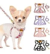 Dog Seat Belt for Car — 2 Pack Dog Car Harness Seatbelt with Bungee — collection imagery