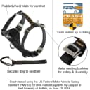 Enhanced Strength Tru-Fit Smart Harness — Black