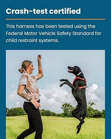 Enhanced Strength Tru-Fit Smart Harness — Black — collection imagery