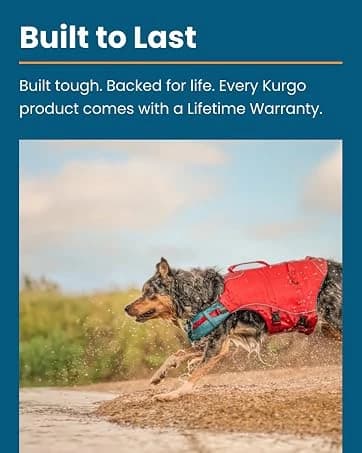 Enhanced Strength Tru-Fit Smart Harness — Black — collection imagery