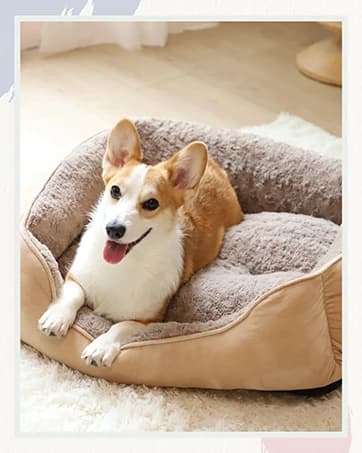 Rectangle Dog Bed for Large Medium Small Dogs - Washable Orthopedic Sofa Bed — collection imagery