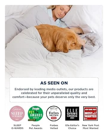 360°Oval Bolster Orthopedic Dog Beds Large Sized Dog — 35" Grey — collection imagery