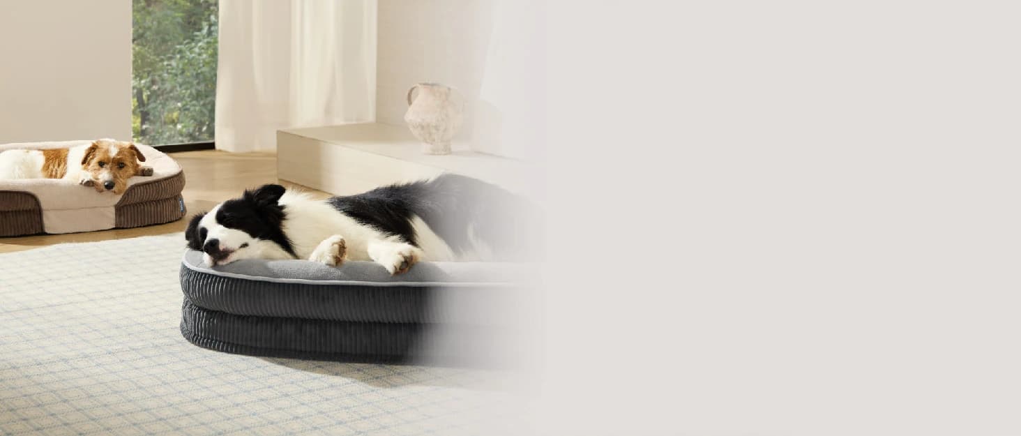 360°Oval Bolster Orthopedic Dog Beds Large Sized Dog — 35" Grey — collection imagery