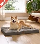 360°Oval Bolster Orthopedic Dog Beds Large Sized Dog — 35" Grey — collection imagery
