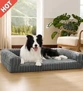 360°Oval Bolster Orthopedic Dog Beds Large Sized Dog — 35" Grey — collection imagery