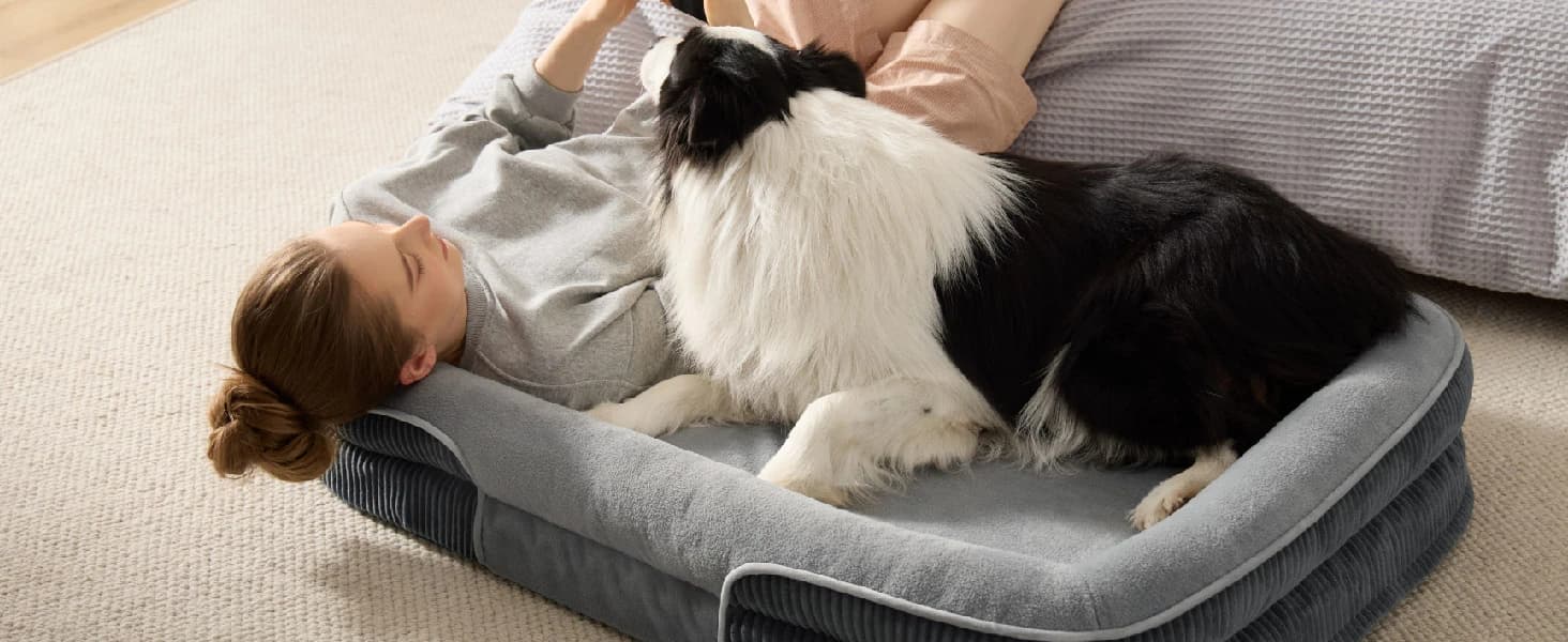 360°Oval Bolster Orthopedic Dog Beds Large Sized Dog — 35" Grey — product details