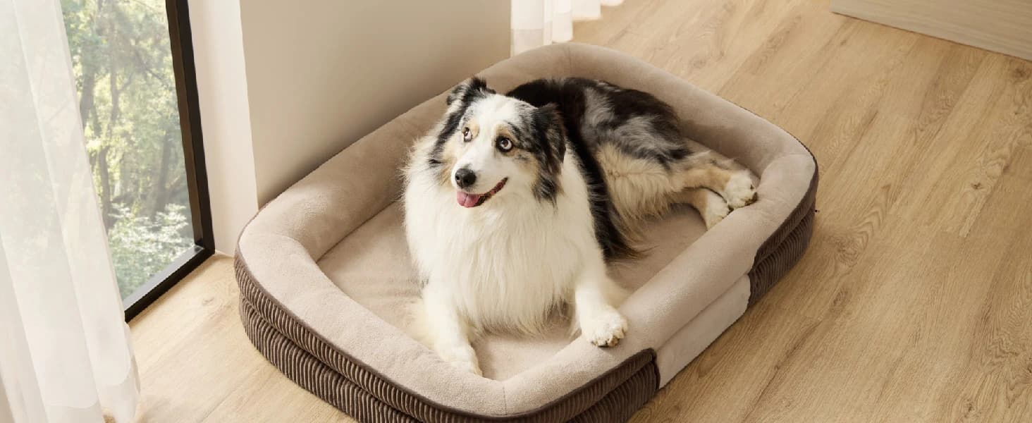 360°Oval Bolster Orthopedic Dog Beds Large Sized Dog — 35" Grey — product details