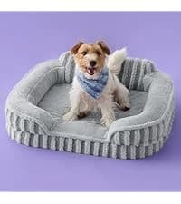 360°Oval Bolster Orthopedic Dog Beds Large Sized Dog — 35" Grey — collection imagery