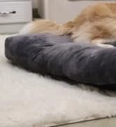 Washable Dog Bed Medium Size Dog Crate Bed Plush Pet Mat — 35"x23" Gray — collection imagery