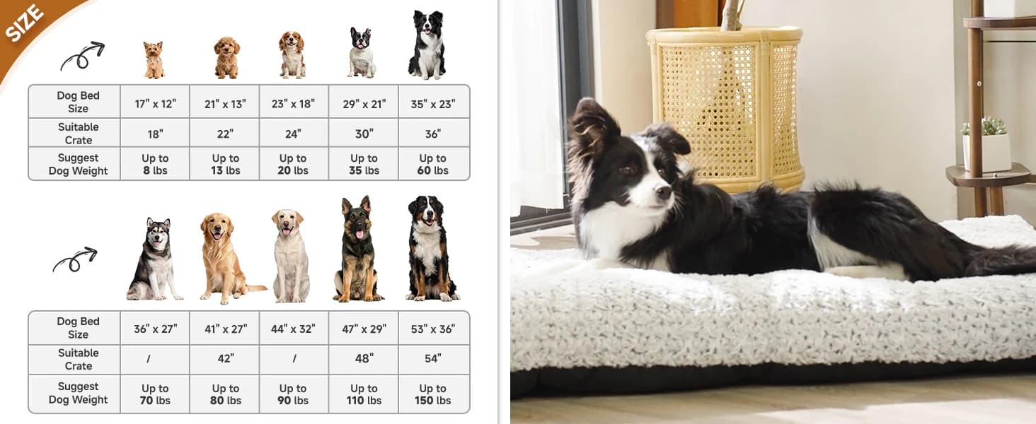 Washable Dog Bed Medium Size Dog Crate Bed Plush Pet Mat — 35"x23" Gray — Size recommendation