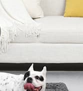 Washable Dog Bed Mat Medium Size Fluffy Pet Crate Pad — 36x23 — collection imagery