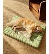 Washable Dog Bed Mat Medium Size Fluffy Pet Crate Pad — 36x23 — collection imagery
