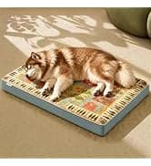 Washable Dog Bed Mat Medium Size Fluffy Pet Crate Pad — 36x23 — collection imagery