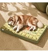 Washable Dog Bed Mat Medium Size Fluffy Pet Crate Pad — 36x23 — collection imagery
