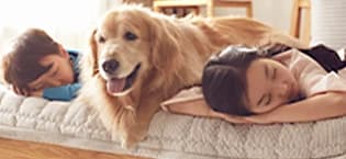 Washable Dog Bed Mat Medium Size Fluffy Pet Crate Pad — 36x23 — collection imagery