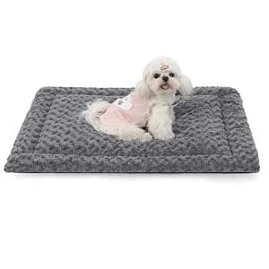 Washable Dog Bed Mat Medium Size Fluffy Pet Crate Pad — 36x23 — WHY CHOOSE DOG BED MAT