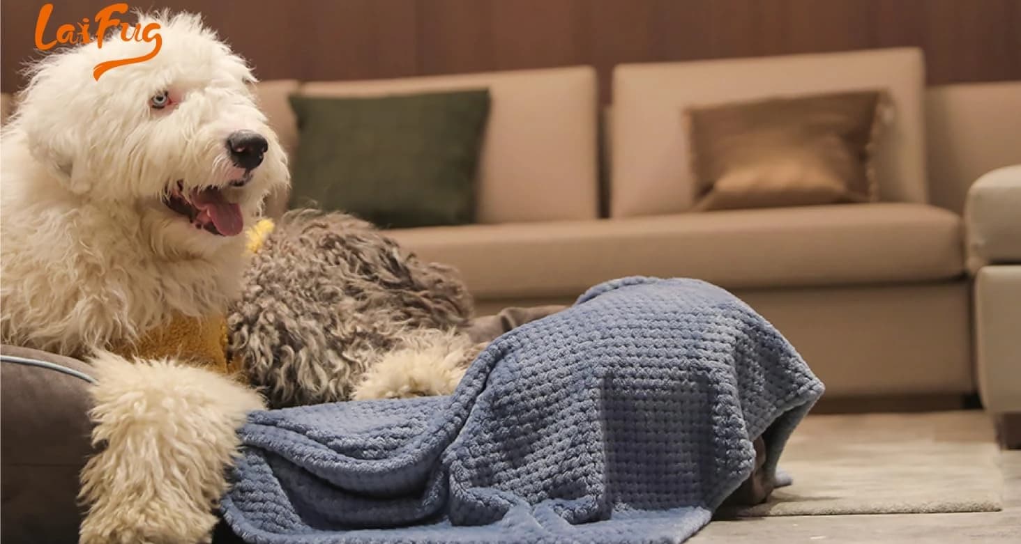 Orthopedic Dog Bed — Slate Grey 50''x36''x10'' — collection imagery