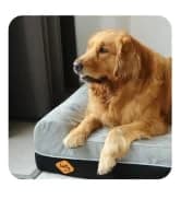 Orthopedic Dog Bed — Slate Grey 50''x36''x10'' — collection imagery