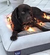 Orthopedic Dog Bed — Slate Grey 50''x36''x10'' — collection imagery