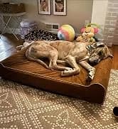 Orthopedic Dog Bed — Slate Grey 50''x36''x10'' — collection imagery