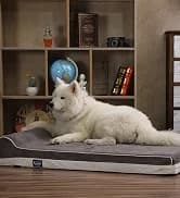 Orthopedic Dog Bed — Slate Grey 50''x36''x10'' — collection imagery