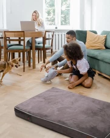 Orthopedic Dog Bed — Slate Grey 50''x36''x10'' — collection imagery