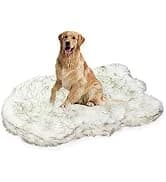 Orthopedic Dog Bed — Slate Grey 50''x36''x10'' — collection imagery