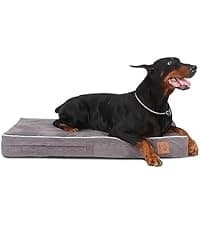 Orthopedic Dog Bed — Slate Grey 50''x36''x10'' — collection imagery