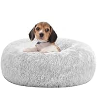 Orthopedic Waterproof Medium Dog Bed Sofa — Gel Memory Foam — collection imagery