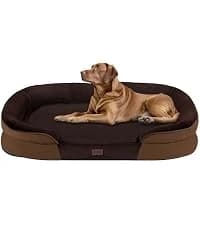 Orthopedic Waterproof Medium Dog Bed Sofa — Gel Memory Foam — collection imagery