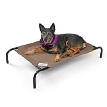 Original Elevated Dog Bed - Breathable Off-The-Ground Pet Bed with Cooling Fabric — PET BED SIZES