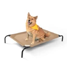 Original Elevated Dog Bed - Breathable Off-The-Ground Pet Bed with Cooling Fabric — PET BED SIZES