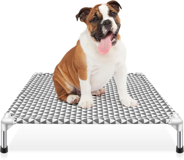 Elevated Outdoor Dog Bed — Medium Size