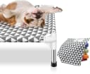 Elevated Outdoor Dog Bed — Medium Size
