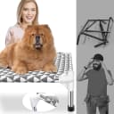 Elevated Outdoor Dog Bed — Medium Size