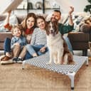 Elevated Outdoor Dog Bed — Medium Size